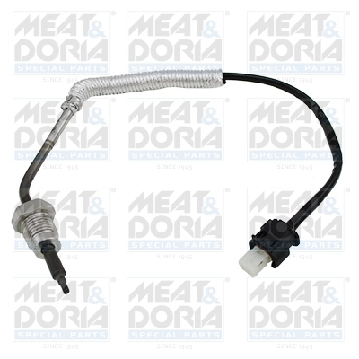 Sensor, exhaust gas temperature
